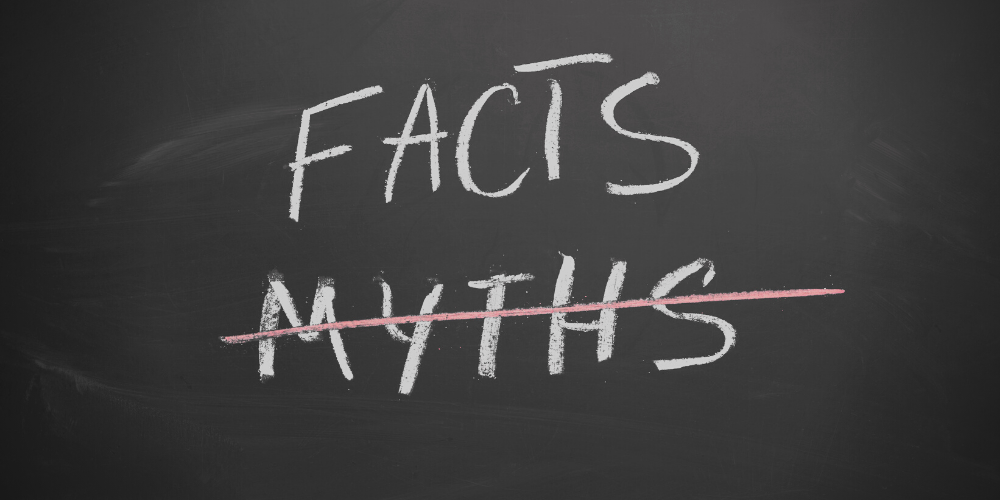 Blackboard with the words "FACT" and "MYTH" written on it. "MYTH" is crossed out