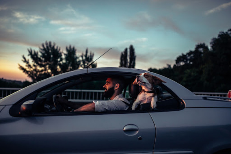 Peer-to-peer car rental: Benefits, risks, and more